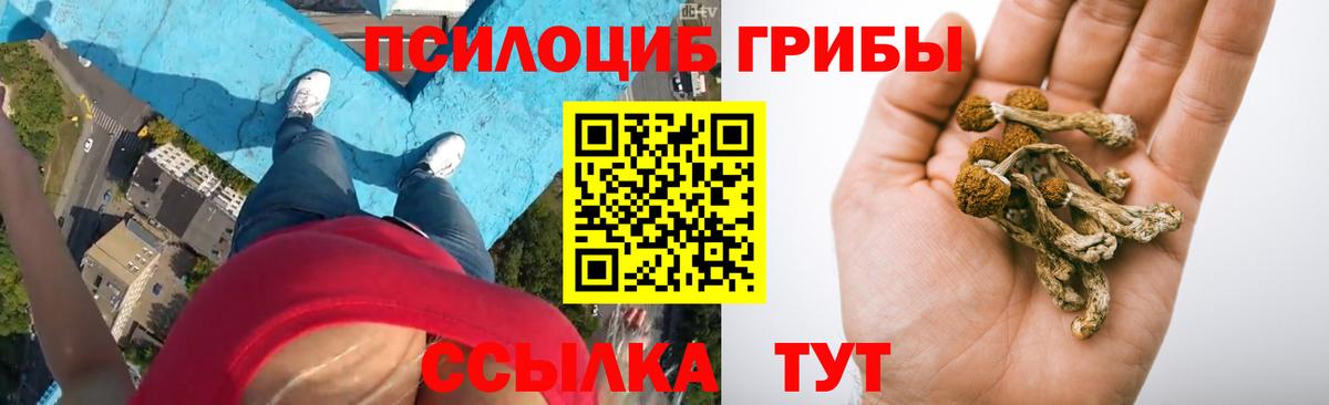 Галлюциногенные грибы Cubensis  Вход с VPN  Галлюциногенные грибы Cubensis  Губкинский 